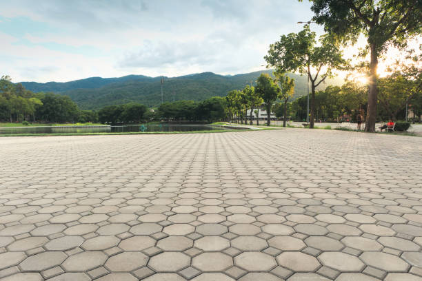 Best Concrete Paver Driveway  in Lakeland, GA